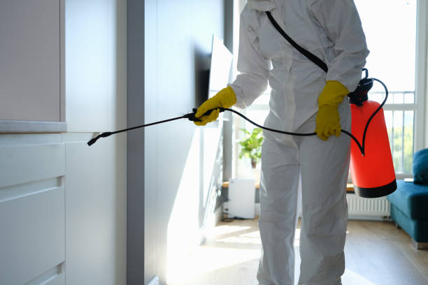Best Mold Testing  in Pollock Pines, CA