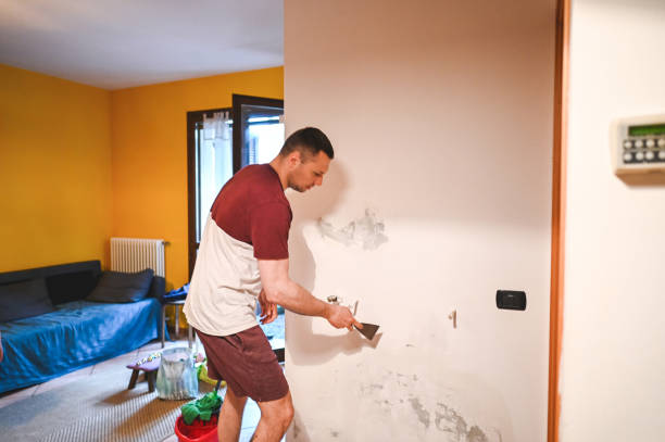 Best Fast Mold Removal  in Pollock Pines, CA
